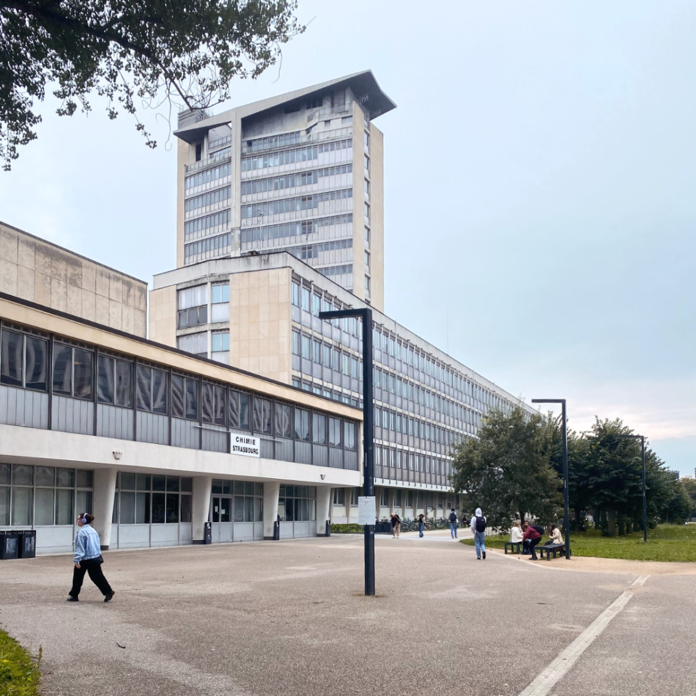 University of Strasbourg